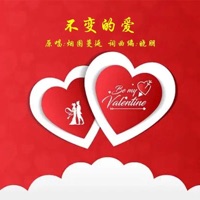 不变的爱 - Single - 晓朋 & 烟圈蔓延