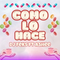 Como Lo Hace (feat. Ashee) - Single - Dj Feks Mty