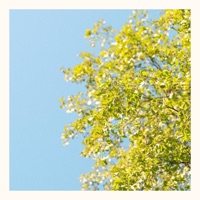 Björk - Single - j raven & kallepdp