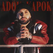 Adok-Kapok song art