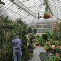 Evergreen - Single - Dry