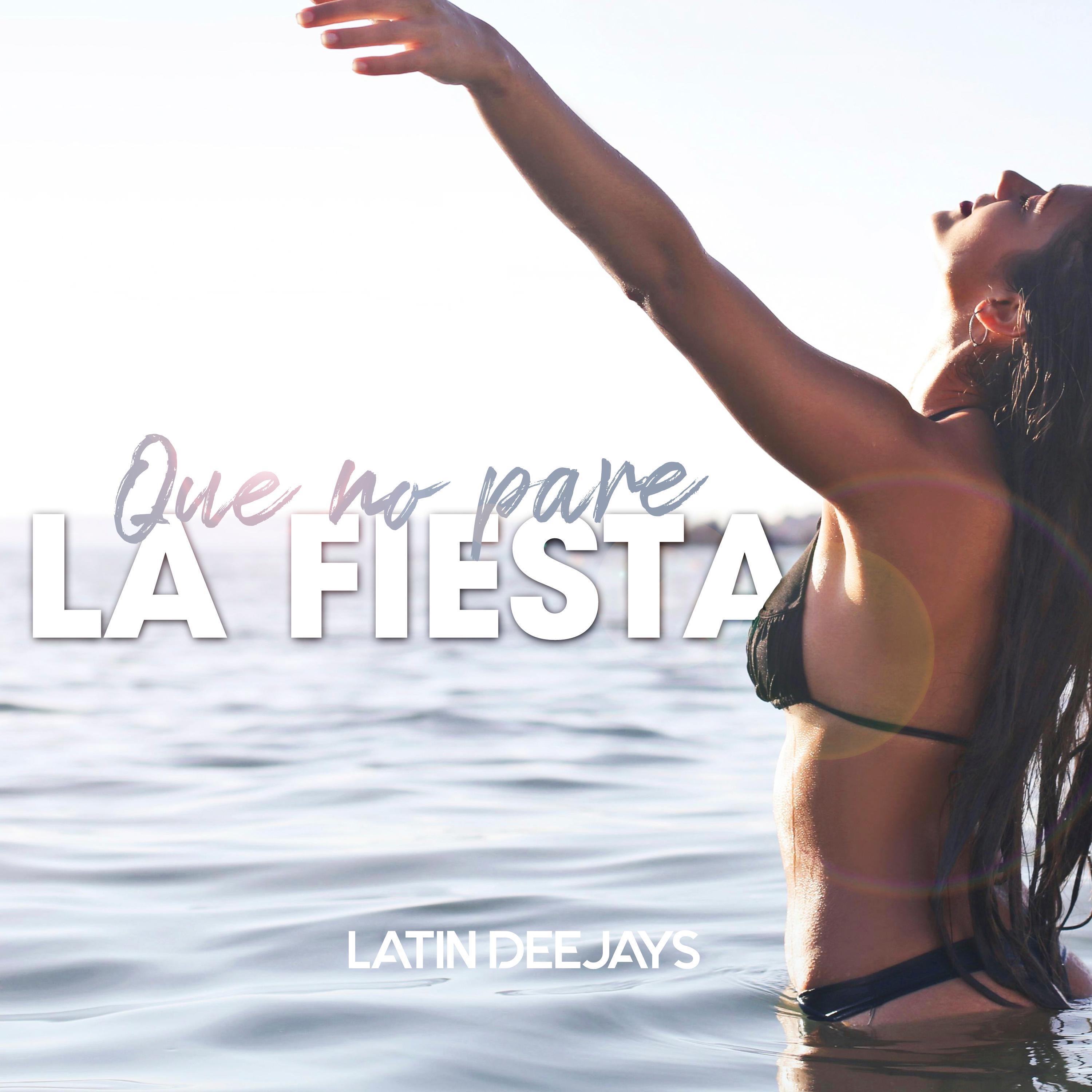 Que No Pare La Fiesta - Single