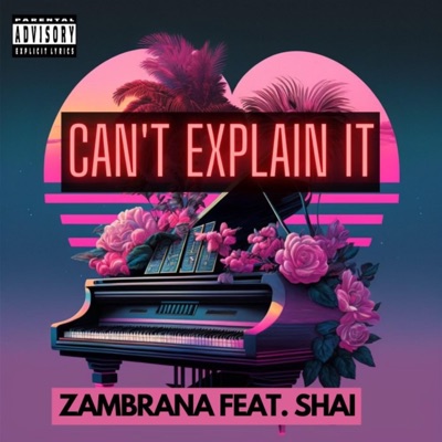 Can't Explain it (feat. Shai) - Single