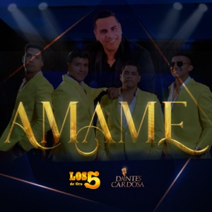 Amame - Single
