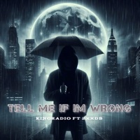 Tell Me If Im Wrong (feat. 2XXDB) - Single - KingRadio