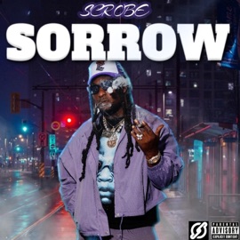 Sorrow Scrobe
