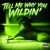 TELL ME WHY YOU WILDIN' - Single - Rbeld
