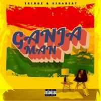 Ganjaman (feat. Kinabeat) - Single - 2 Ringz