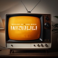Imizwilili (feat. Sino Msolo) - Single - TheologyHD