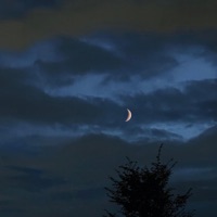 still, somehow - Single - Colens