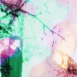 party anthem carbine