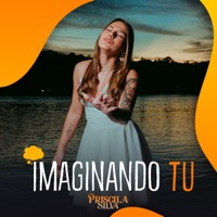 Imaginando Tu - Single - Priscila Silva