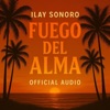 Fuego Del Alma
