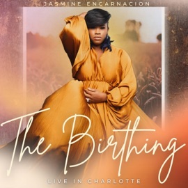 Nothing To Go Back To (feat. Dayanna Redic) Jasmine Encarnacion