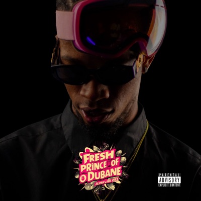 Fresh Prince Of Dubane