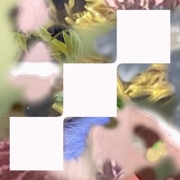 Luna Love - Single - Tripolism & Rosa Lee Luna