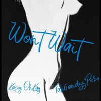 Wont Wait (feat. Tali6andzz'Peso) - Single - Kacey OhKay