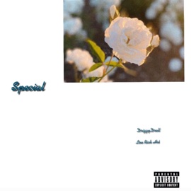 Special (feat. Lou Rich Hot) DrizzyDrell