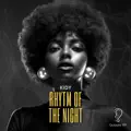 Rhythm of the Night