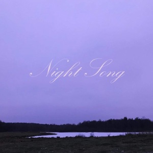 Night Song (feat. Arvid Lizell) - Single