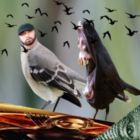 Mocking Vogel (feat. kidd keta & Traurige Einsamkeit) - Single - DizzyDoc