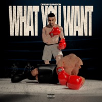 What You Want - Single - Drew Samson