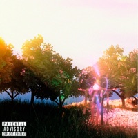 Reborn - Single - Ozyk