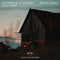 Another Day in The Barn (Nature) (feat. Sensory Meditation, Nina Nalo, Flame Timo, Jasper Whisper & Alma Lin) - Single - Pile of Strings