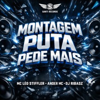Montagem Puta Pede Mais - Single - DJ RIBASZ, Mc Léo Stiffler & ANDER MC