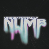 Uncomfortably Numb (Remix) - Single - Everrest & Xyan