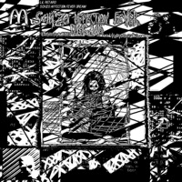 Schizo Affection Fever Dream - Lil Wretched