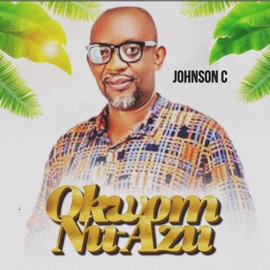 Okwom Nu-Azu Johnson C