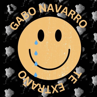 Te extraño - Single