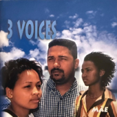3 Voices