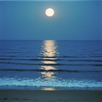 Omega Breeze - EP - Fitz Ambro$e