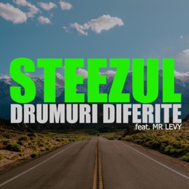 Drumuri diferite (feat. Mr. Levy) Steezul