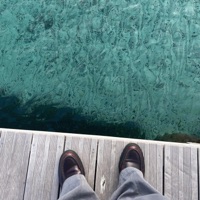 10mg - Single - OGWAVEY