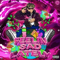 Bad Trip (feat. Joven Mafia, Wh1teLvck & Young Myr) - Single - Danzzzito