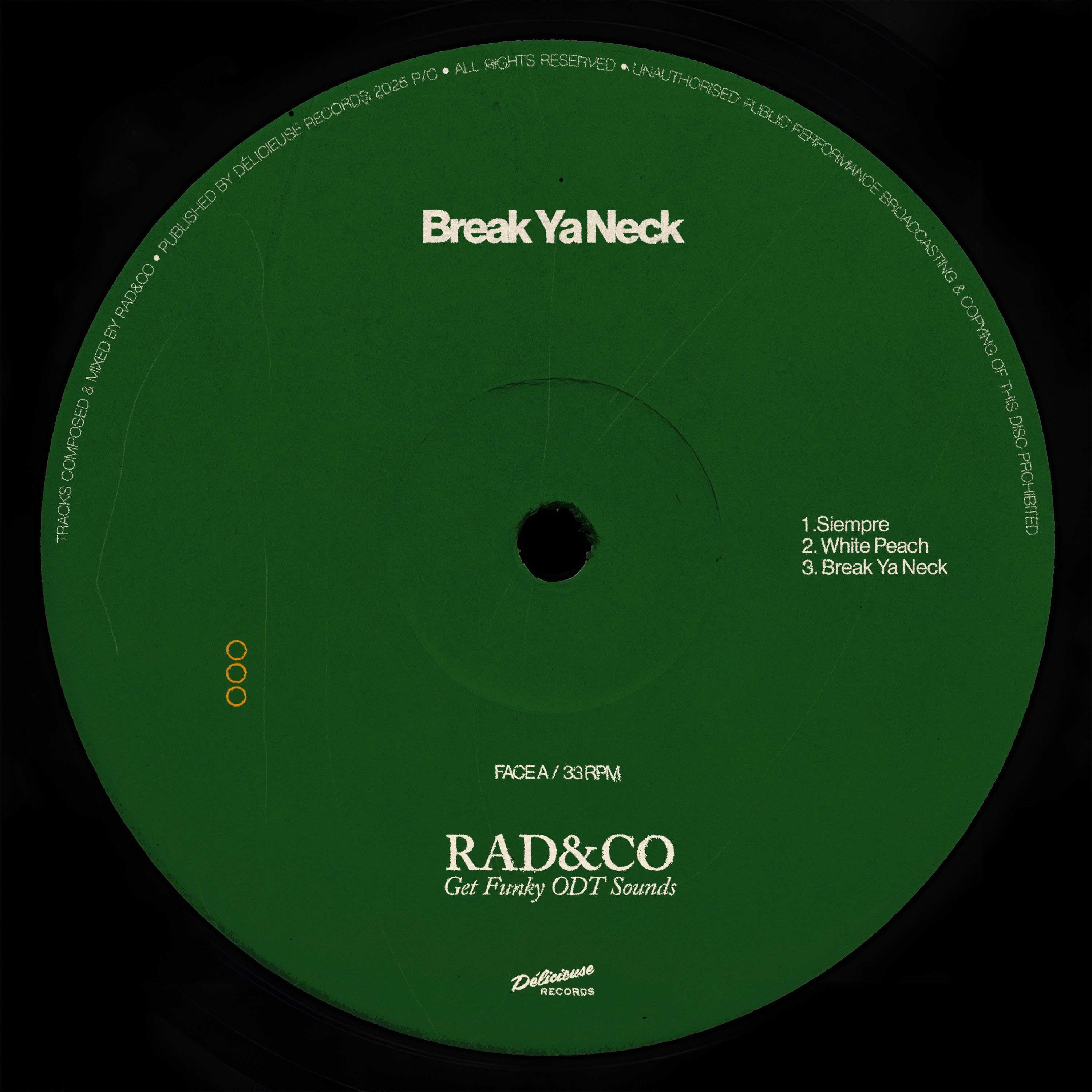 Break Ya Neck - Single
