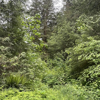 I Know U Hate Me (feat. Acai & Se7en) - Single