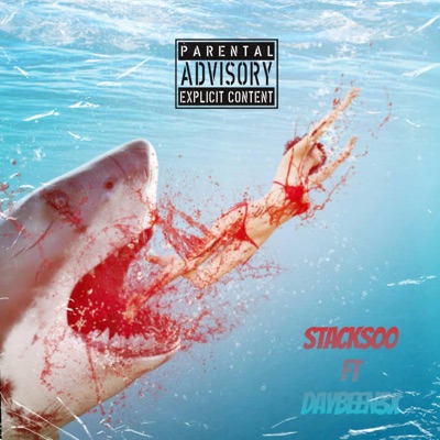 Spark some sh!t (feat. Daybeen3x) - Single