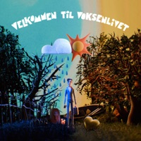 VELKOMMEN TIL VOKSENLIVET - Adrian Sellevoll