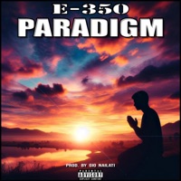 PARADIGM - Single - E-350