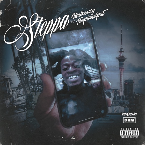 Steppa (feat. Trapland Pat) - Single