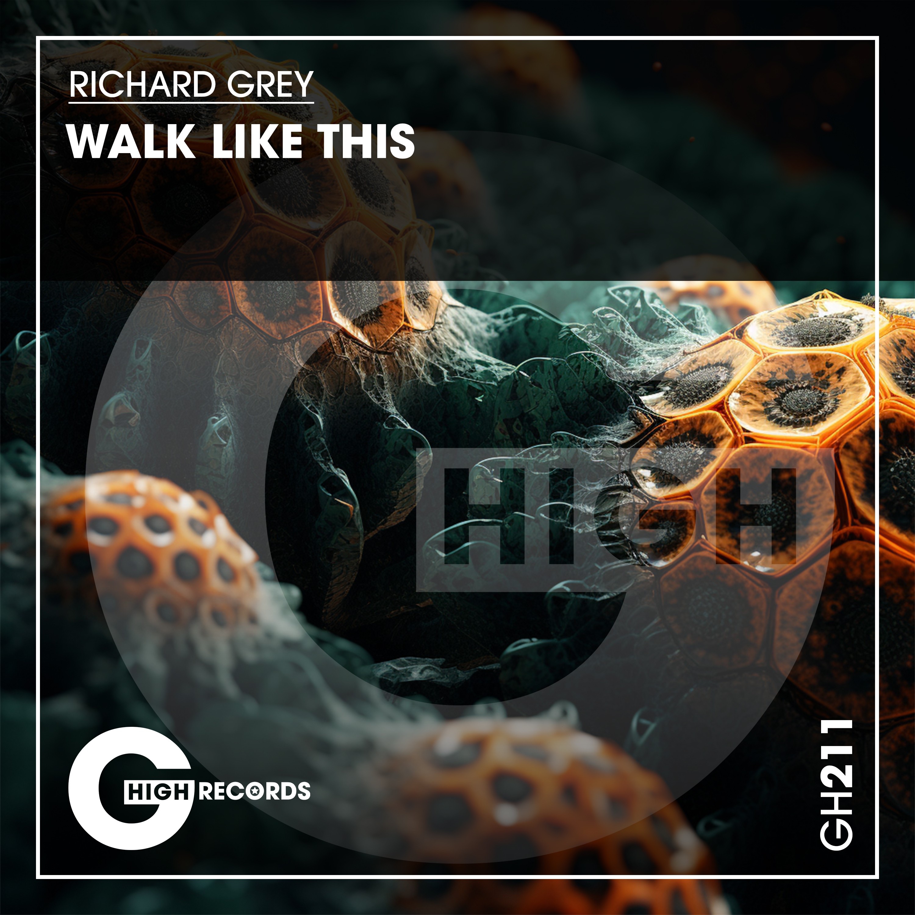 Richard Grey - Walk Like This (Funky Tribal Mix)