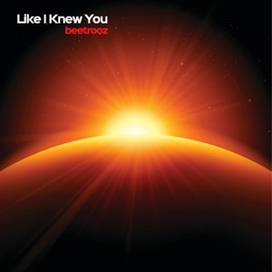 Like I Knew You - Single