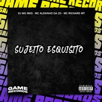 Sujeito Esquisito - Single - DJ Wg Mks, MC Alekinho da ZO & MC Richard MT