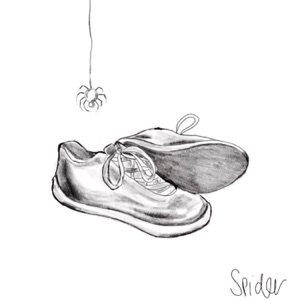 Spider - Single
