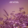 Feel My Love