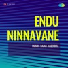 Endu Ninnavane (Original Motion Picture Soundtrack) - EP